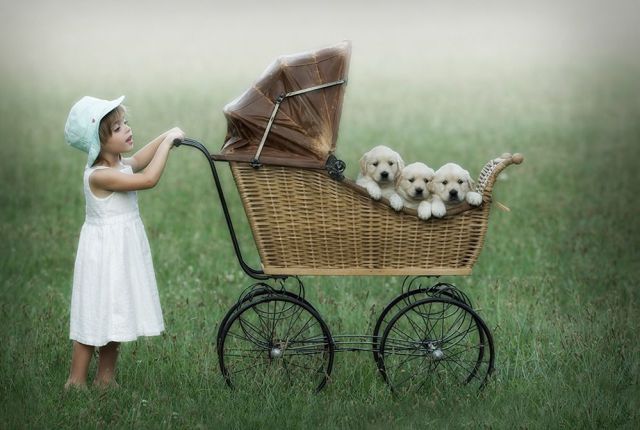 morning picdump 52 pics 3.html - 52 HD Photos | Premium Gallery 2012