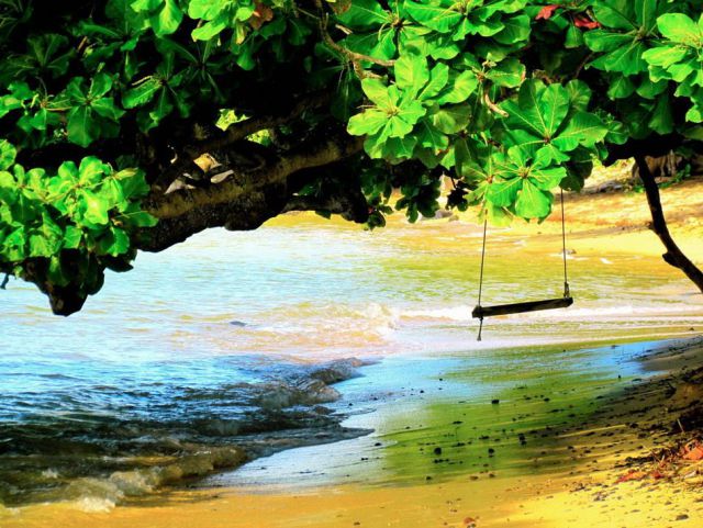 morning picdump 52 pics 3.html - 52 HD Photos | Premium Gallery 2012