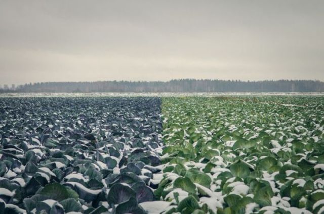 morning picdump 52 pics 3.html - 52 HD Photos | Premium Gallery 2012