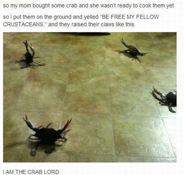 morning picdump 52 pics 3.html - 52 HD Photos | Premium Gallery 2012