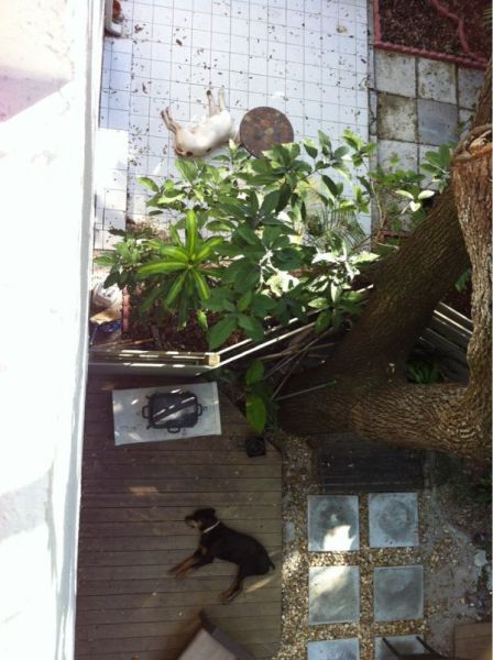 morning picdump 53 pics 38.html - 53 HD Photos | Premium Gallery 2012