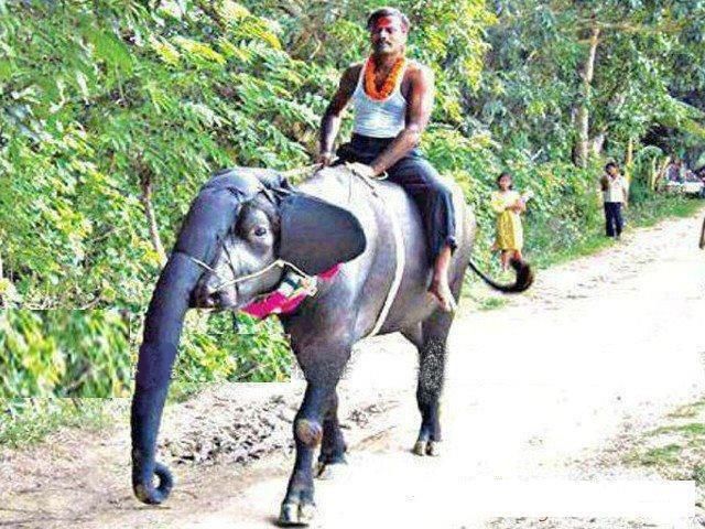 morning picdump 53 pics 38.html - 53 HD Photos | Premium Gallery 2012