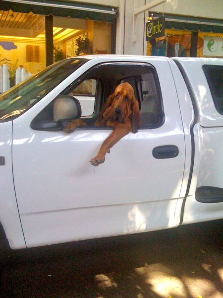 morning picdump 53 pics 38.html - 53 HD Photos | Premium Gallery 2012