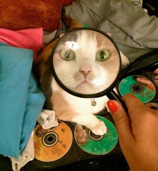 morning picdump 53 pics 38.html - 53 HD Photos | Premium Gallery 2012