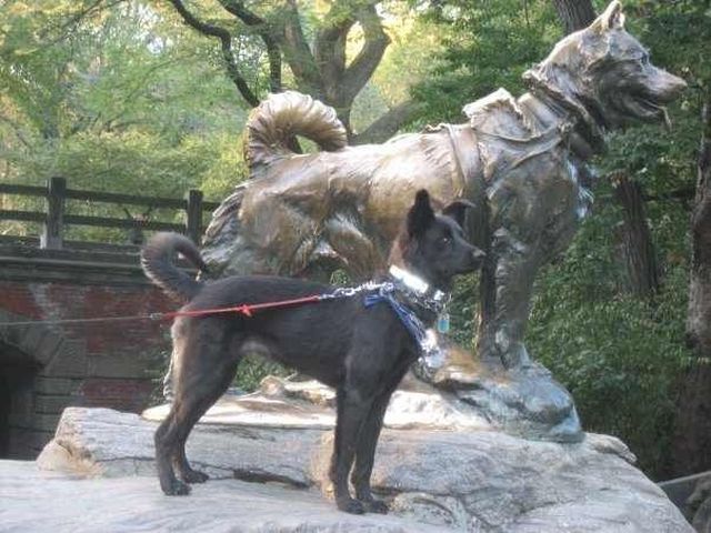 morning picdump 53 pics 38.html - 53 HD Photos | Premium Gallery 2012