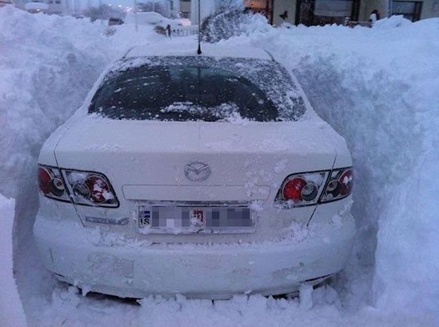 morning picdump 53 pics 38.html - 53 HD Photos | Premium Gallery 2012