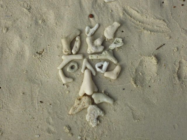 morning picdump 53 pics 38.html - 53 HD Photos | Premium Gallery 2012