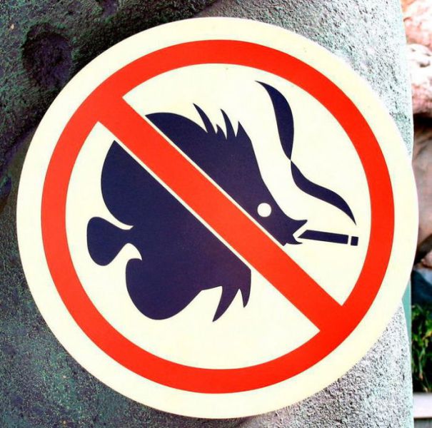 morning picdump 53 pics 4.html - 53 HD Photos | Premium Gallery 2012