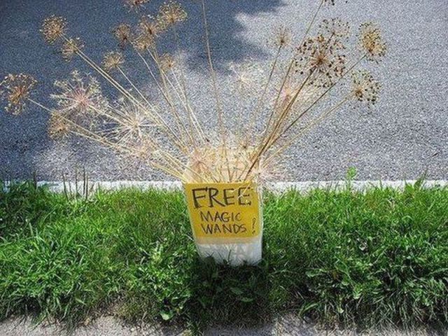 morning picdump 53 pics 4.html - 53 HD Photos | Premium Gallery 2012