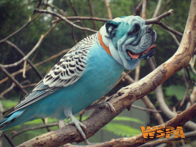 morning picdump 53 pics 4.html - 53 HD Photos | Premium Gallery 2012