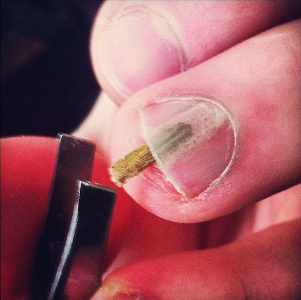 morning picdump 53 pics 4.html - 53 HD Photos | Premium Gallery 2012