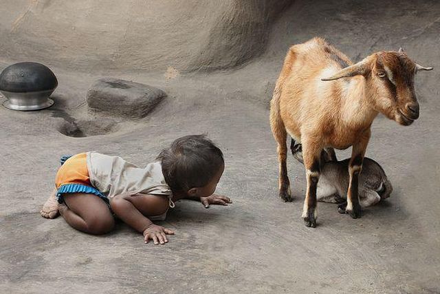 morning picdump 53 pics 4.html - 53 HD Photos | Premium Gallery 2012