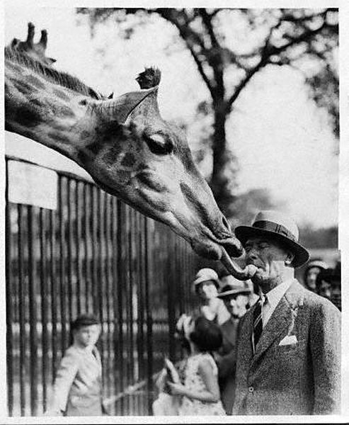 morning picdump 53 pics 4.html - 53 HD Photos | Premium Gallery 2012