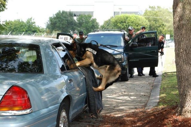 Daily Picdump [WEEKEND EDITION]