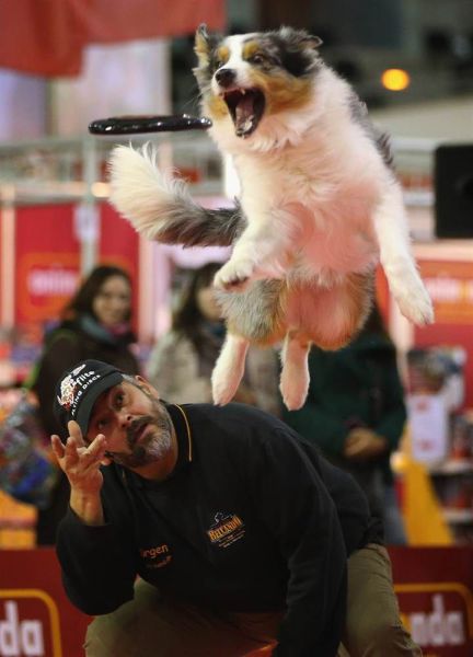 daily picdump weekend edition 97 pics 29.html - 97 HD Photos | Premium Gallery 2012