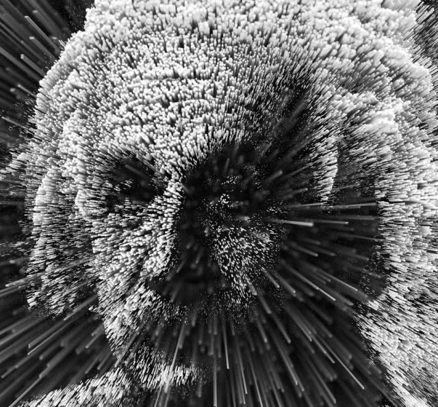 daily picdump weekend edition 97 pics 29.html - 97 HD Photos | Premium Gallery 2012