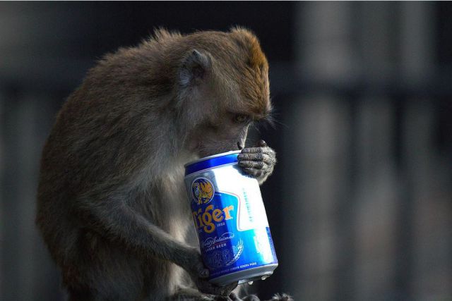 daily picdump weekend edition 97 pics 29.html - 97 HD Photos | Premium Gallery 2012