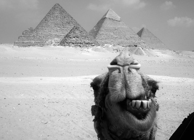 daily picdump weekend edition 97 pics 29.html - 97 HD Photos | Premium Gallery 2012