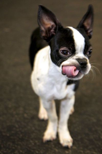 daily picdump weekend edition 97 pics 29.html - 97 HD Photos | Premium Gallery 2012