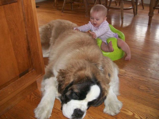 daily picdump 100 pics 25.html - 100 HD Photos | Premium Gallery 2012