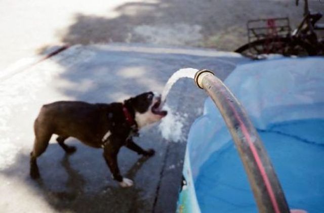 daily picdump 100 pics 25.html - 100 HD Photos | Premium Gallery 2012