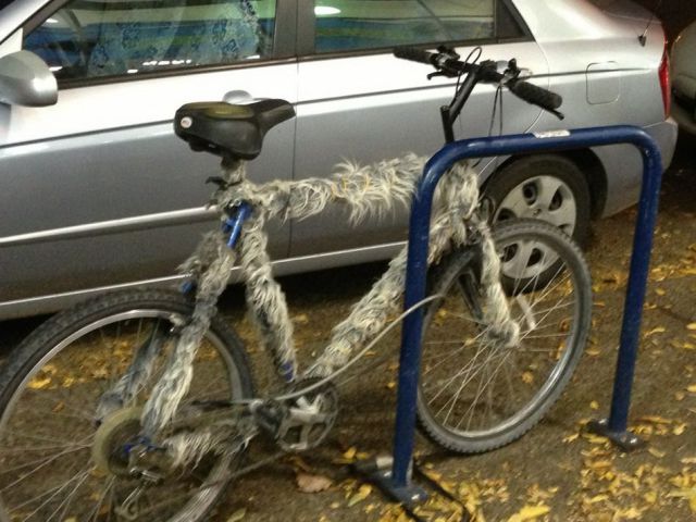 daily picdump 100 pics 25.html - 100 HD Photos | Premium Gallery 2012