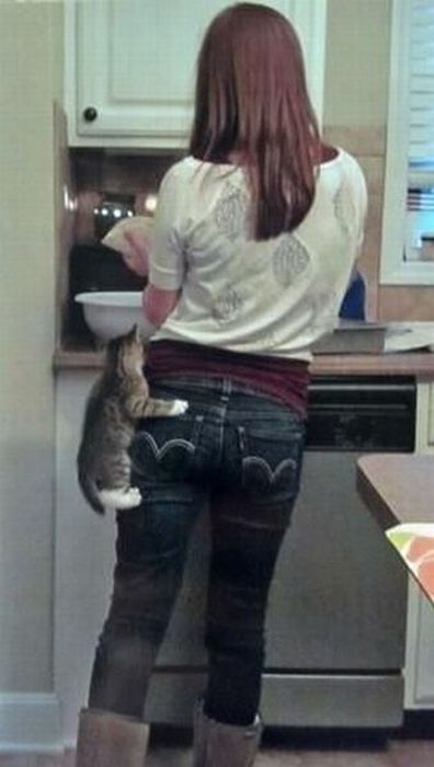 daily picdump 100 pics 25.html - 100 HD Photos | Premium Gallery 2012