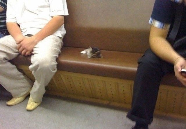 daily picdump 99 pics 50.html - 99 HD Photos | Premium Gallery 2012