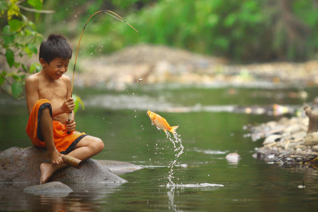 daily picdump 99 pics 50.html - 99 HD Photos | Premium Gallery 2012