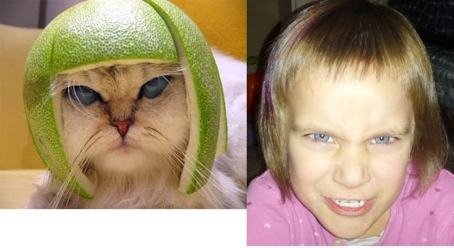 daily picdump 99 pics 50.html - 99 HD Photos | Premium Gallery 2012