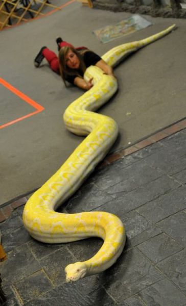 morning picdump 52 pics 1.html - 52 HD Photos | Premium Gallery 2012