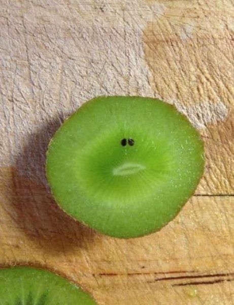 morning picdump 52 pics 1.html - 52 HD Photos | Premium Gallery 2012