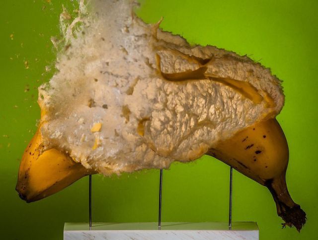 morning picdump 51 pics 13.html - 51 HD Photos | Premium Gallery 2012