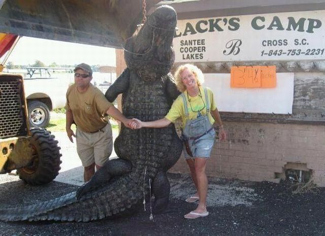 morning picdump 51 pics 13.html - 51 HD Photos | Premium Gallery 2012
