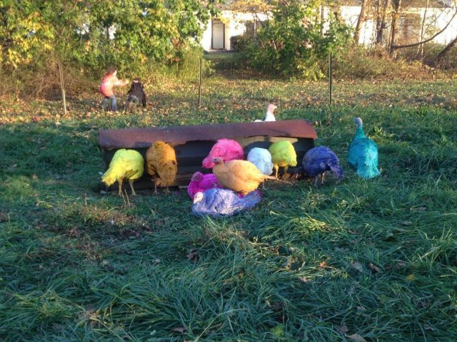 morning picdump 51 pics 13.html - 51 HD Photos | Premium Gallery 2012