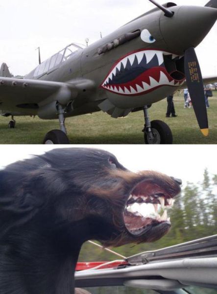 morning picdump 51 pics 13.html - 51 HD Photos | Premium Gallery 2012