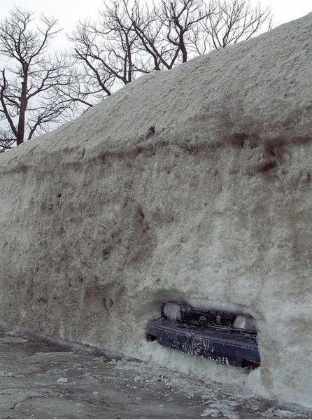 morning picdump 51 pics 13.html - 51 HD Photos | Premium Gallery 2012