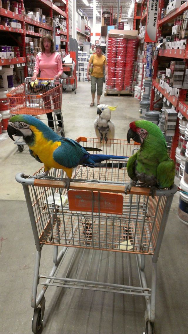 morning picdump 51 pics 13.html - 51 HD Photos | Premium Gallery 2012