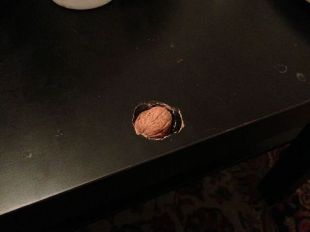 morning picdump 53 pics 25.html - 53 HD Photos | Premium Gallery 2012