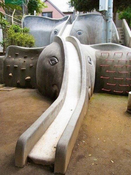 morning picdump 53 pics 25.html - 53 HD Photos | Premium Gallery 2012