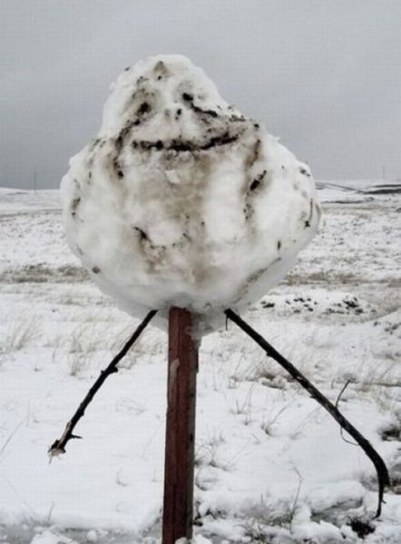 daily picdump 97 pics 23.html - 97 HD Photos | Premium Gallery 2012