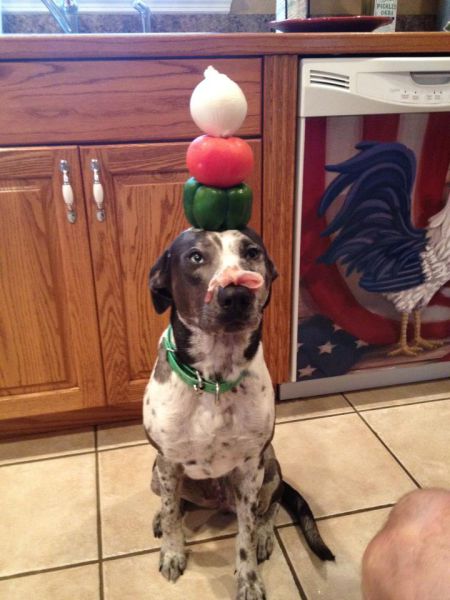 daily picdump 97 pics 23.html - 97 HD Photos | Premium Gallery 2012