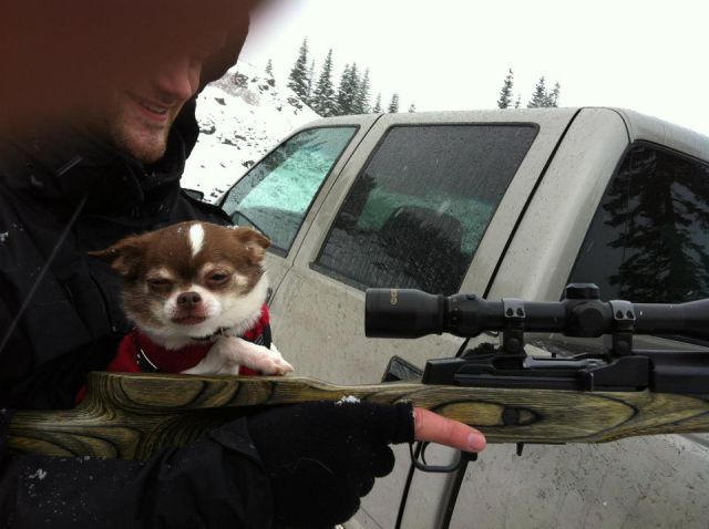 daily picdump 97 pics 23.html - 97 HD Photos | Premium Gallery 2012