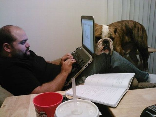 daily picdump 97 pics 23.html - 97 HD Photos | Premium Gallery 2012