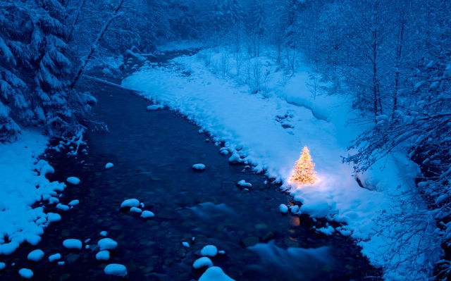 morning picdump 53 pics 1.html - 53 HD Photos | Premium Gallery 2012