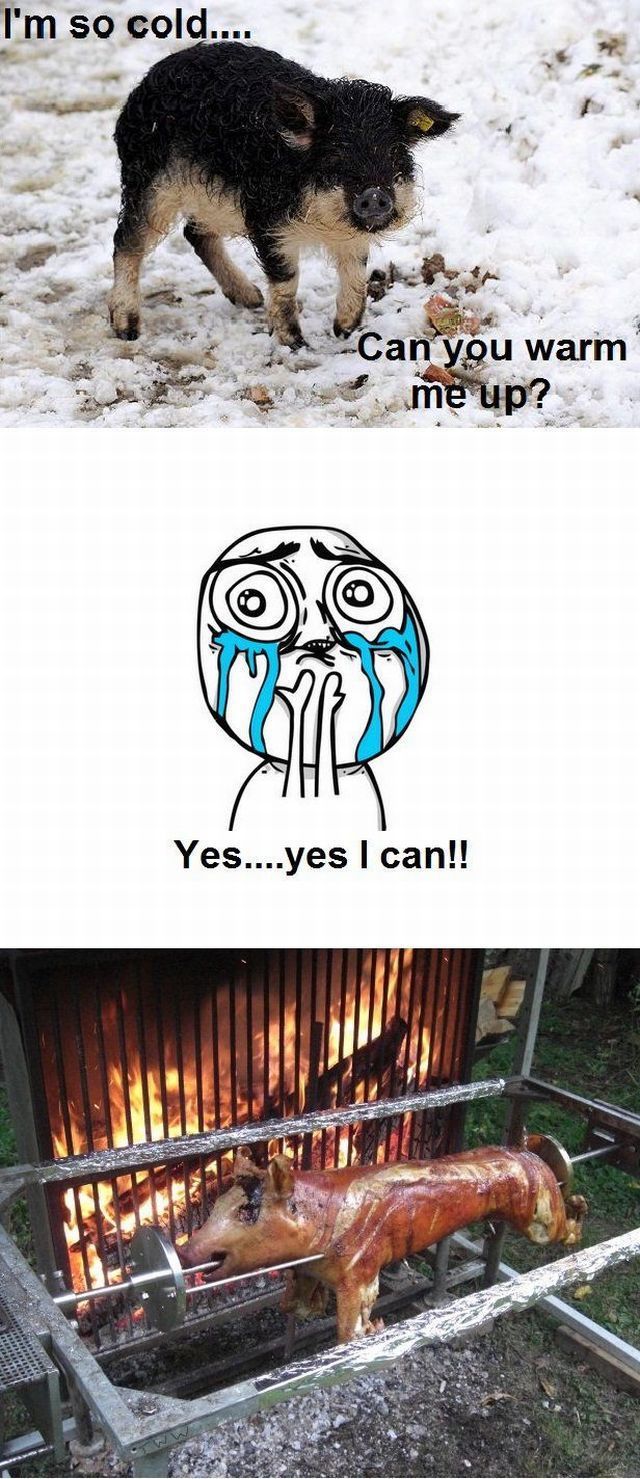 morning picdump 53 pics 1.html - 53 HD Photos | Premium Gallery 2012