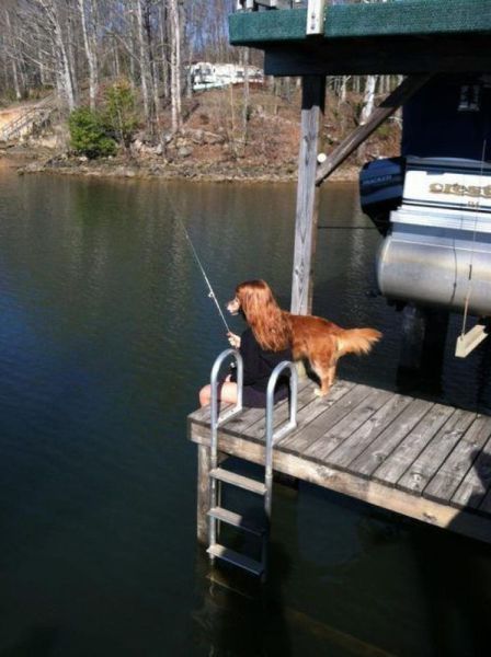 morning picdump 54 pics 48.html - 54 HD Photos | Premium Gallery 2012