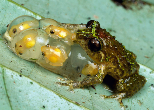 morning picdump 54 pics 48.html - 54 HD Photos | Premium Gallery 2012