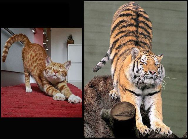 morning picdump 54 pics 48.html - 54 HD Photos | Premium Gallery 2012