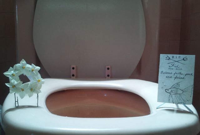 morning picdump 54 pics 48.html - 54 HD Photos | Premium Gallery 2012